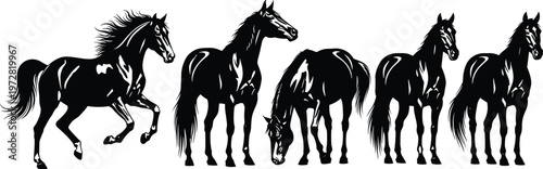 Set of Five Black Silhouette Vector Illustrations of Elegant Horses in Various Poses Including Running and Grazing Isolated on White Background for Equestrian Design