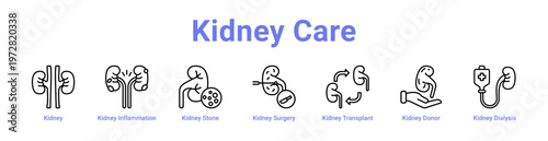 Kidney Care web icons in banners and collections