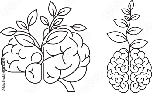 Blackberry fruit with leaves vector illustration