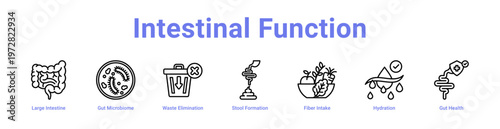 -Intestinal Function web icons in banners and collections