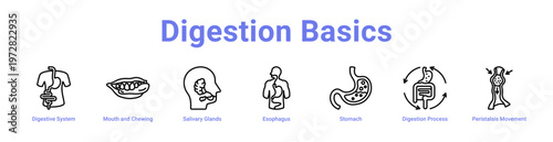 -Digestion Basics web icons in banners and collections