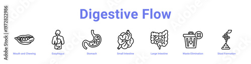 -Digestive Flow web icons in banners and collections