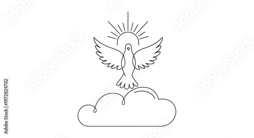 Dove flying in the sunlight peace.