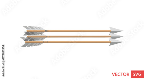 Three Wooden Arrows with White Fletching and Arrowheads on White Background