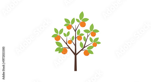 Vibrant Orange Tree with Ripe Fruits and Green Leaves, Isolated on White