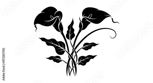 Elegant black and white calla lily floral design