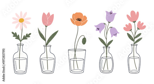 Assortment of colorful flowers in glass vases on white background