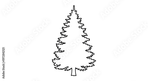 Stylized Evergreen Tree Outline Silhouette