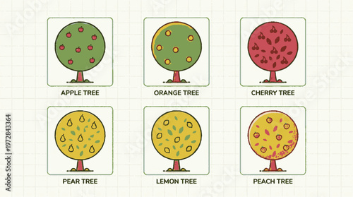 Fruit trees illustration set with apple orange cherry pear lemon and peach trees