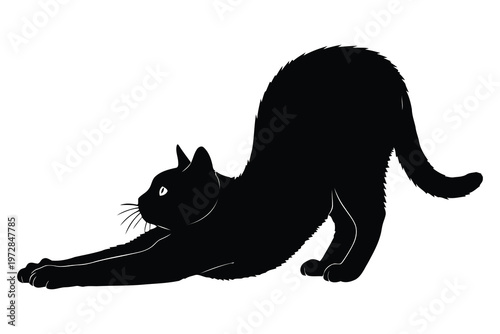 Title black cat stretching silhouette a vintage style illustration of feline grace description a striking black silhouette depicts a cat in a full