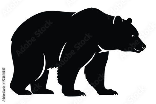 Black silhouette of a bear a powerful wildlife illustration