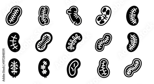 Kidney icons, organ graphics, black and white illustrations, medical symbols, vector set