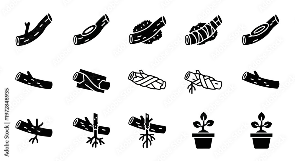 Fototapeta premium Black and white plant icons, 15 piece vector set, plant growth stages, gardening symbols, botanical illustrations