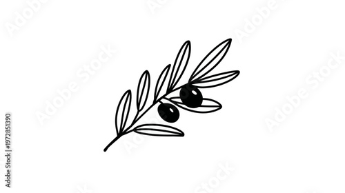 Simple black and white line art illustration of an olive branch with two olives, minimalist nature food vector graphic.
