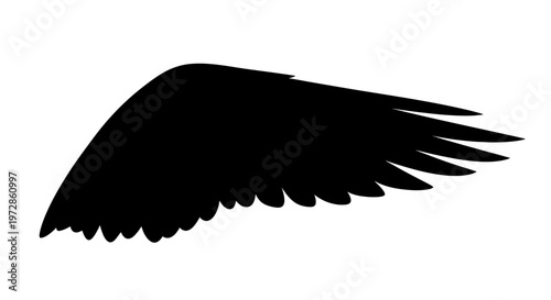 Black Silhouette of a Wing: The elegant curve of a solitary wing, a symbol of freedom and flight, its dark silhouette against the blank space.