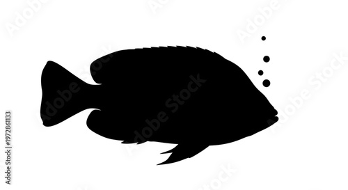Mysterious Silhouette of Oceanic Grace: An elegant silhouette of a solitary fish glides through the silent underwater depths, its form a captivating enigma against the deep.