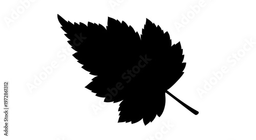 Silhouette of Leaf: A detailed silhouette of a single leaf, displaying intricate edges and texture, against an ethereal backdrop.