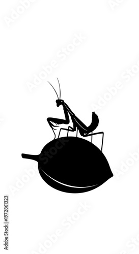 Mantis Silhouette on Leaf: A striking black silhouette of a praying mantis perched on a large leaf, showcasing its distinctive form against a minimalistic backdrop.