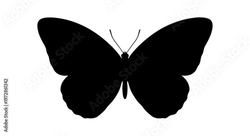 Butterfly Silhouette: A striking silhouette of a butterfly, its delicate wings spread, against a clear backdrop, capturing the essence of elegance and freedom.