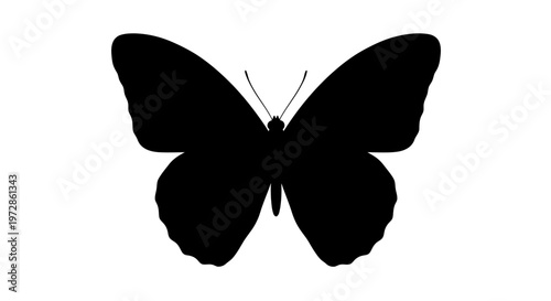 Butterfly Silhouette: A striking silhouette of a butterfly, showcasing its intricate wing structure and graceful form. The image highlights the beauty and elegance of this delicate insect.