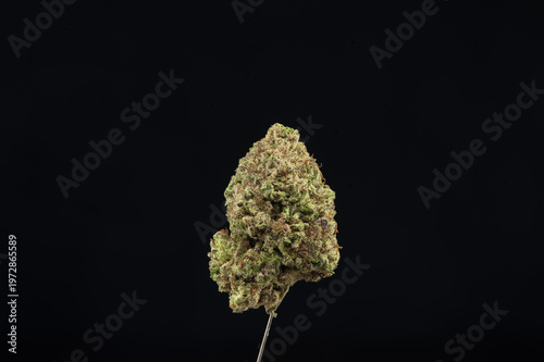 A close-up image of a cannabis bud against a black background, highlighting its texture and color.