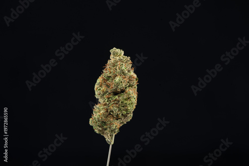 Close-up of a dense cannabis bud with visible trichomes and orange hairs against a black background.