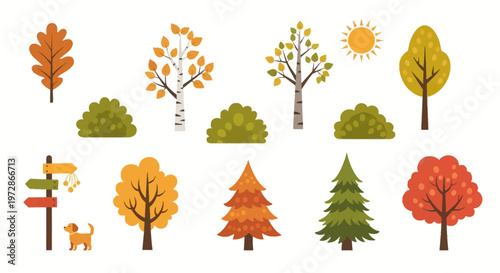 Set of flat vector autumn trees and nature elements including orange oak, white birch, green pine, bushes, yellow sun, wooden directional signpost, and small dog isolated on white.