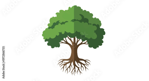 Minimalist vector illustration of a green deciduous tree with a dense canopy, thick brown trunk, and exposed underground root system, isolated on a white background for design.
