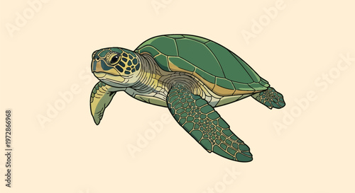Detailed vector illustration of a green sea turtle (Chelonia mydas) in a swimming profile view. Features intricate shell patterns and scaly flippers on a plain neutral background.