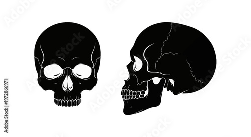 Set of black human skull silhouettes showing frontal and side profile views, isolated on white background, featuring anatomical details like eye sockets, teeth, and cranial sutures.