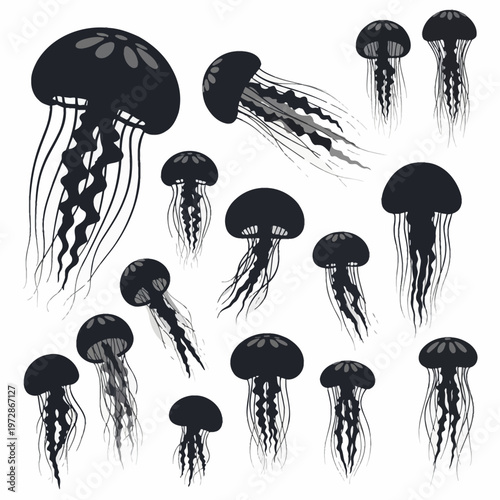 Set of diverse jellyfish silhouette illustrations in black and grey isolated on white background. Collection of marine life icons featuring various bell shapes and long trailing tentacles.