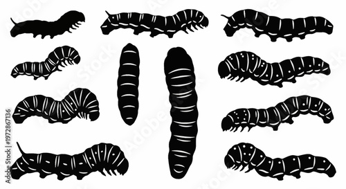 Collection of black caterpillar silhouettes with white segment markings and stripes, shown in various crawling and arched positions against a plain white background, larval insect set.