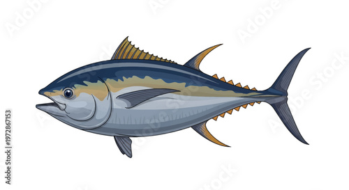 Vector illustration of a yellowfin tuna fish isolated on white background, featuring realistic blue and silver body with yellow fins and finlets for commercial marine life graphics.