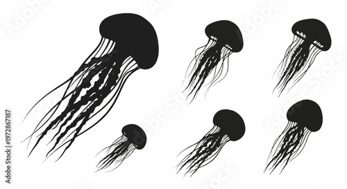 Set of six black jellyfish silhouettes with long flowing tentacles and distinct bell shapes, isolated on a white background for marine life graphics and aquatic theme illustrations.