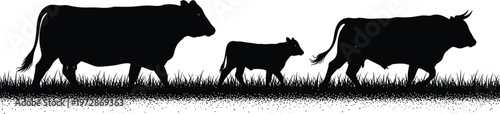 Cow and calf silhouettes walking across grass field, rural livestock farming scene, cattle herd in agriculture isolated on white background