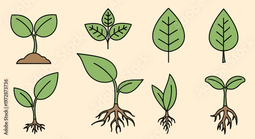 Vector illustration set of green plant icons featuring growth stages from sprouts in soil to seedlings with visible root systems, single leaves, and foliage in a flat linear style.