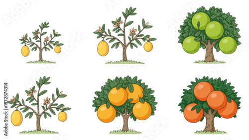 Four illustrations of fruit-bearing trees with varying numbers of apples and oranges