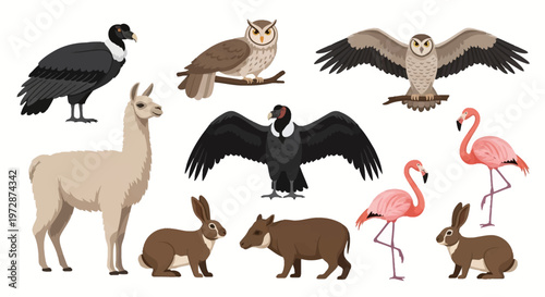 Vector illustration set of South American wildlife featuring a llama, Andean condors with wings spread, owls, pink flamingos, a tapir, and brown rabbits isolated on a white background.
