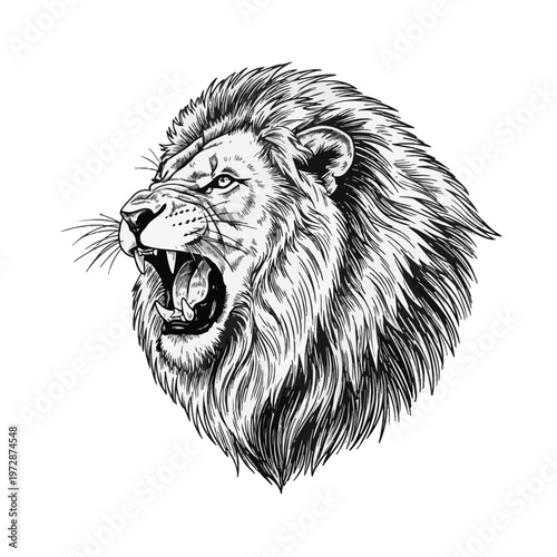 lion head isolated on white