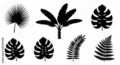 Collection of black silhouettes of tropical plants featuring Monstera deliciosa, banana leaves, fan palm fronds, and fern varieties isolated on a clean white background.