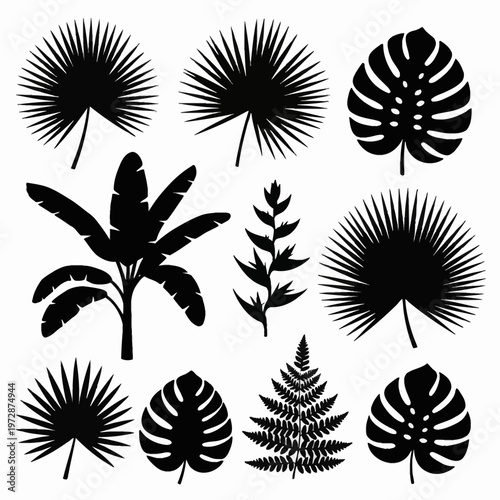 Set of black silhouettes featuring various tropical plant leaves such as monstera deliciosa, fan palm fronds, banana tree foliage, and fern leaves isolated on white background.