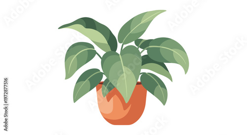 Potted Plant with Green Leaves.