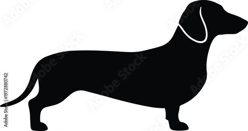 Silhouette of a dachshund dog standing in a profile view