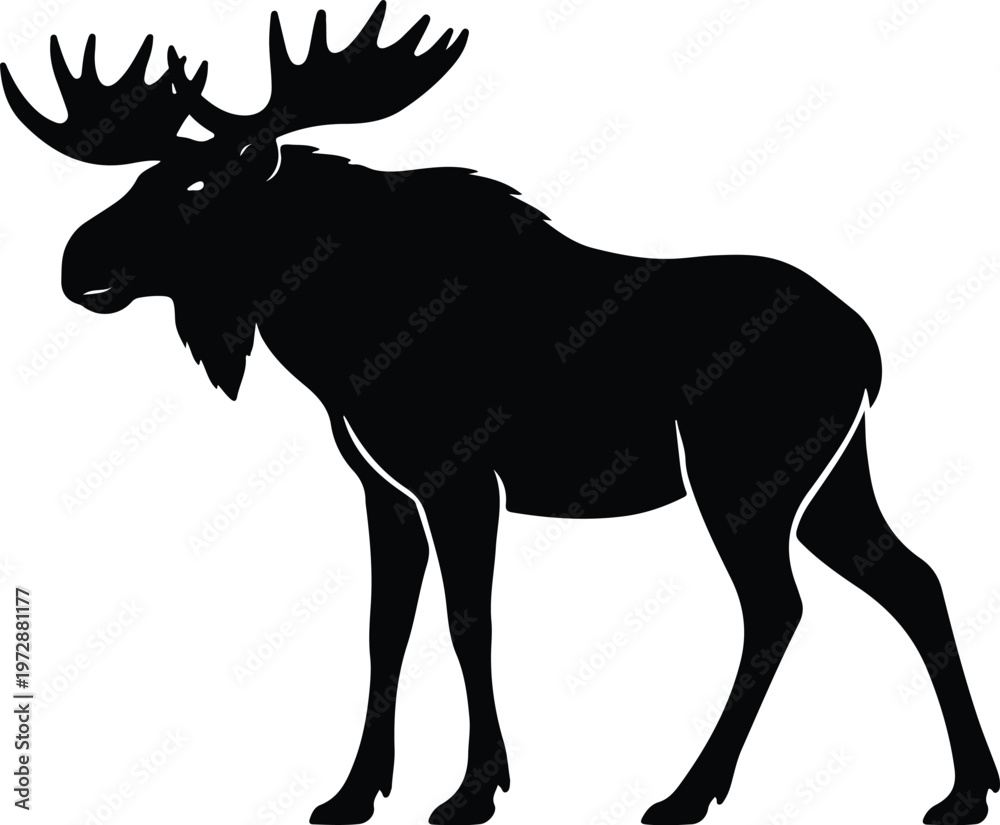 Fototapeta premium Silhouette of a majestic moose standing in profile view