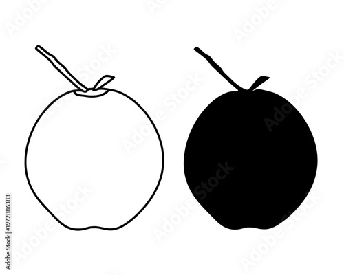 Coconut minimalist icon, in outline and silhouette design, isolated on transparent background