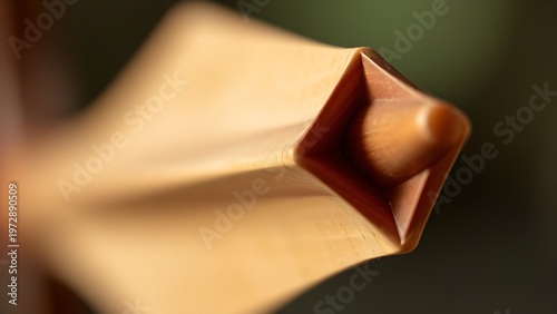 nock. Arrow nock fitted on bowstring, carved groove and wood grain in soft light. tutorial guides, club newsletters, designed for tourism and weekend activity guides, used by curriculum designers.