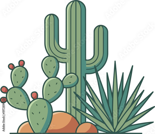 Cactus plants in the desert.