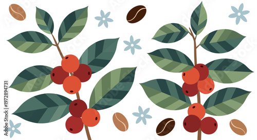 Flat Vector Illustration of Coffee Branches with Red Berries, Leaves, and Beans on White Background
