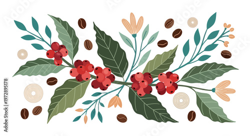 Stylized Botanical Coffee Branch Illustration with Ripe Red Cherries and Roasted Beans