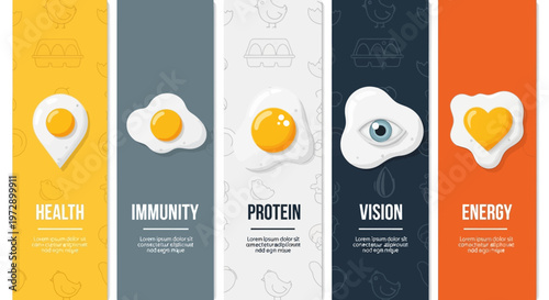 Egg Nutrition Infographic Set Featuring Creative Fried Egg Shapes for Health, Immunity, Protein, Vision, and Energy Benefits